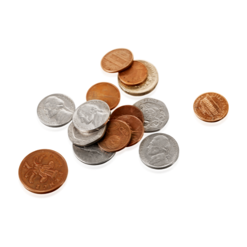 photo of the product